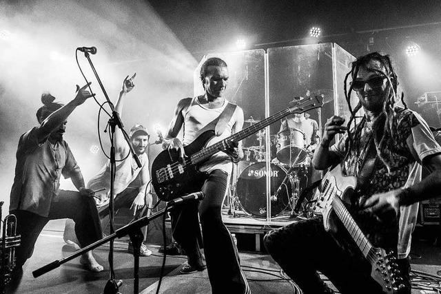 Die Freiburger Band Malaka Hostel nimmt eine neues Album auf – und will dafür Unterstützung