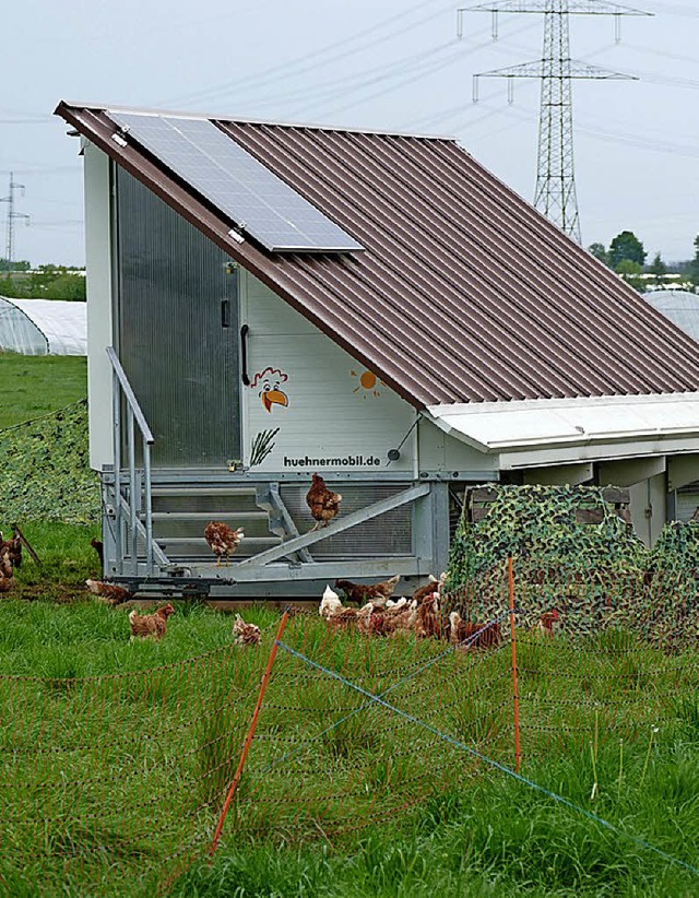 Der Seebodenhof mchte mit einem mobil...all in die Eierproduktion einsteigen.   | Foto: Symbolbild: Vogt
