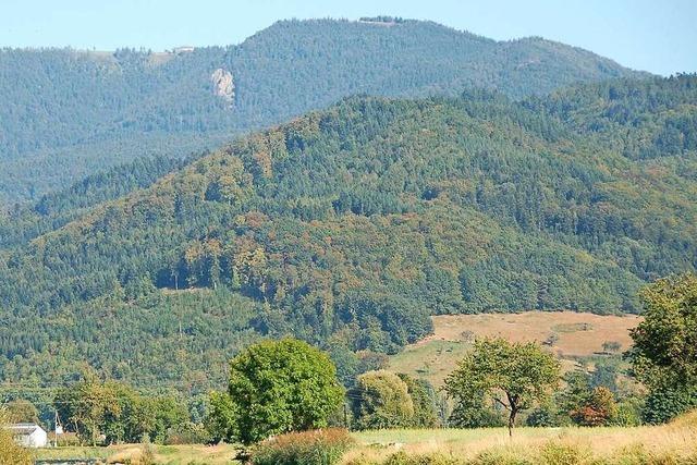 Erdbeben: Der Kandel in Aufruhr