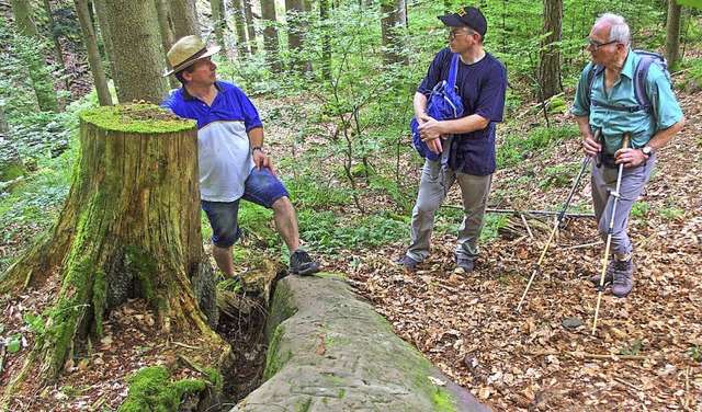 Thomas Reitzel (Mitte) mit Teilnehmern am Pfaffenstein   | Foto: A. Sindlinger