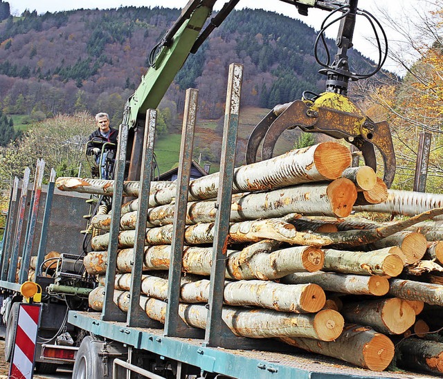 Die Holzvermarktung gehrt zu den Kernthemen der FBG.   | Foto: Archivfoto: Jacob