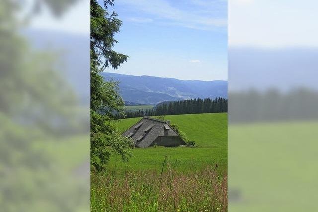 Mit Rosemarie Riesterer von Waldkirch zum Sgendobel