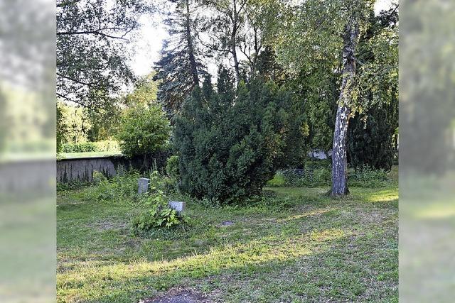 Beirat will alten Friedhof pflegen