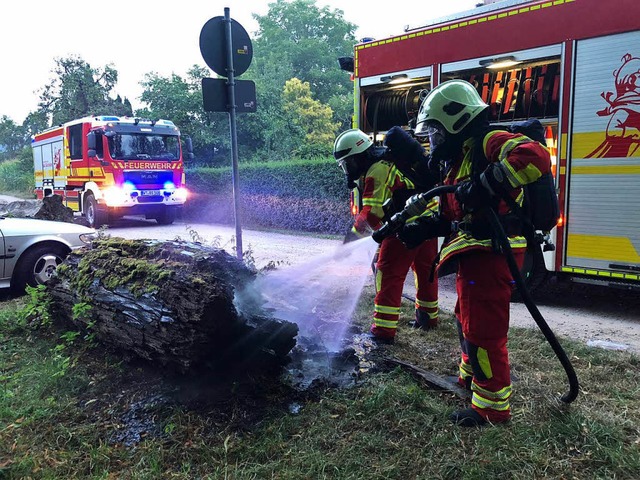 Der Baumstamm wurde gelscht  | Foto: Feuerwehr Bad Sckingen