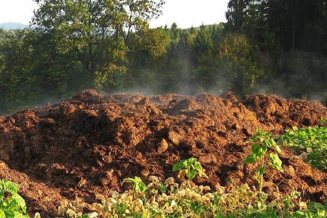 Geruchsproblem in Schwrstadt: Stinkige statt laue Nchte