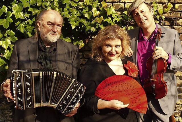 Trio Nostalgia aus Kalrsruhe im Klostergarten Offenburg