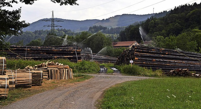 Sturmholz kann nun auf dem Nasslagerpl...uchen wieder zwischengelagert werden.   | Foto: Ulrike Jger