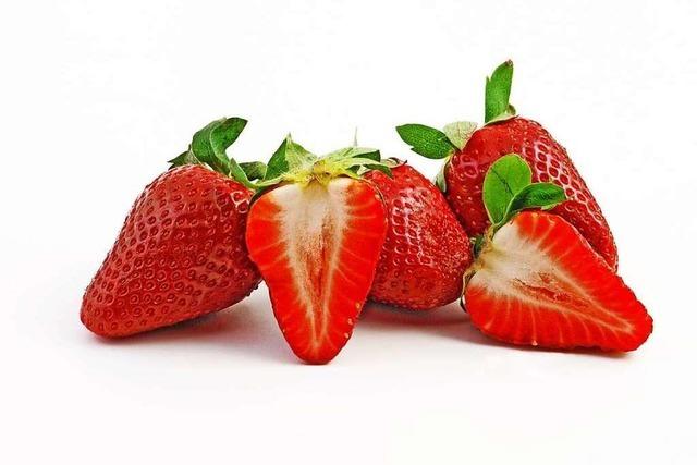 Roter Gefäßpfleger: die Erdbeere