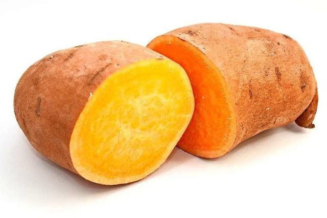 Prallvolle Knolle: die Süßkartoffel