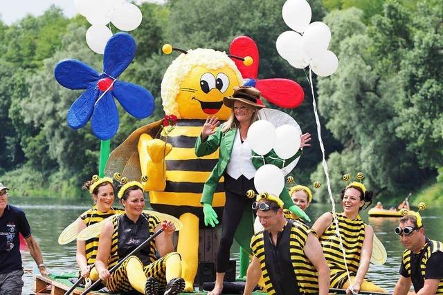 Fotos: Die Neuenburger Rheinregatta