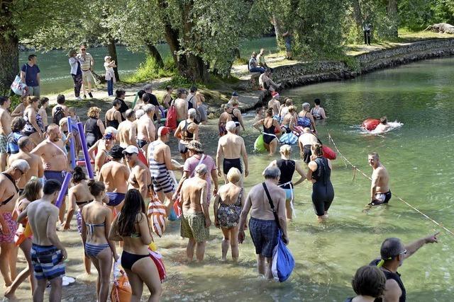 Hundert schwimmen im Rhein und sind begeistert