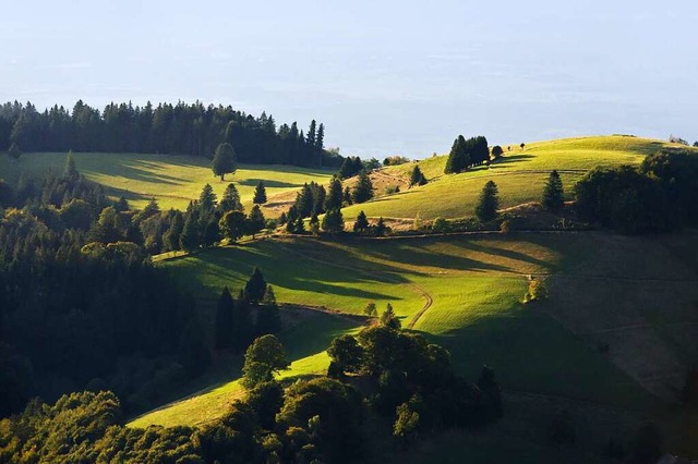 Auch der idyllisch anmutende Schwarzwa...der Krimilandkarte vielfach vertreten.  | Foto: Andrea Schiffner