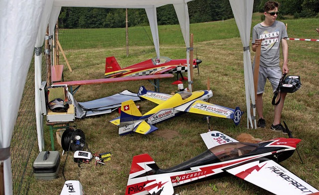 Die Vielfalt der Modelle war bei den M...Harpolingen wieder abwechslungsreich.   | Foto: Gerd Leutenecker