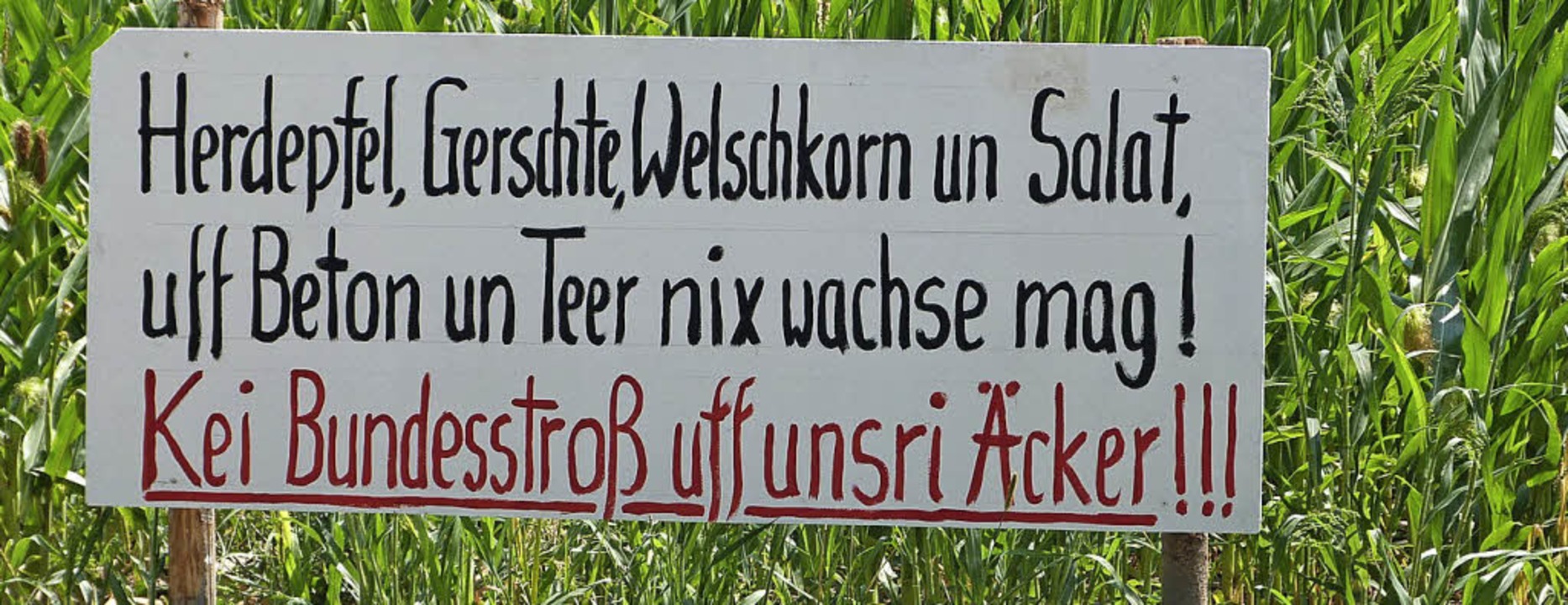 Gündlinger  Landwirte fürchten Nachteile durch die B31 West.   | Foto: Weirich