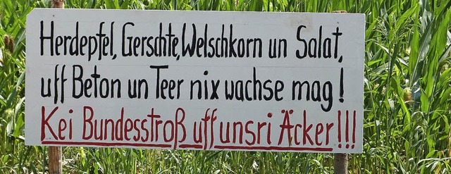 Gndlinger  Landwirte frchten Nachteile durch die B31 West.   | Foto: Weirich