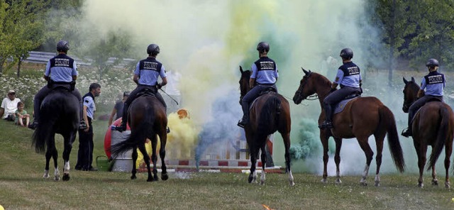 Die Reiterstaffel zeigte beim Tag der ...sich die Pferde im Einsatz verhalten.   | Foto: Heidi Fssel