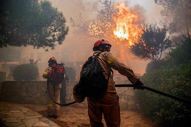 Zahl der Waldbrandopfer in Griechenland steigt dramatisch an