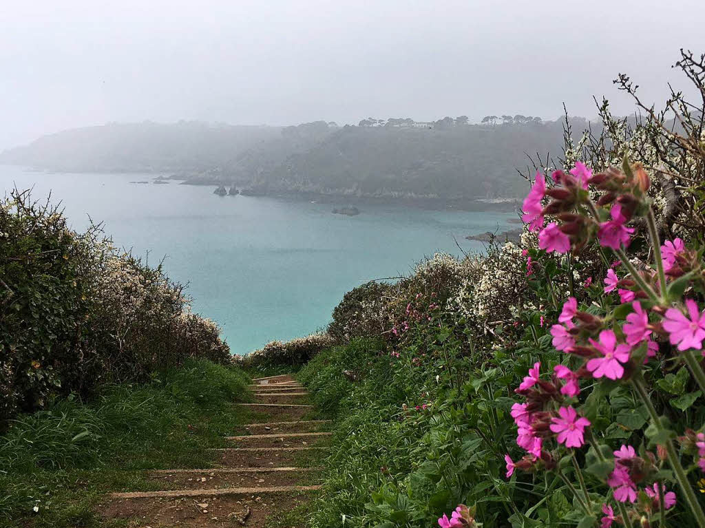 Nebel zieht auf: Wanderung entlang der Klippen auf Guernsey 