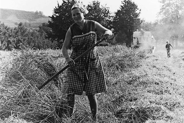 1968: kein gutes Jahr fr die Bauern