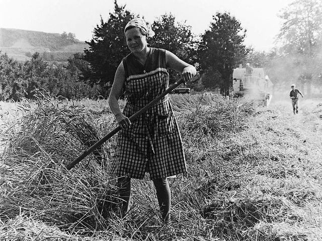 Ohne die Landfrauen, die mit Heugabeln...s Foto entstand bei Knigschaffhausen.  | Foto: Armin E. Mller