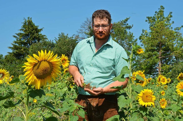 Landwirt Stefan Leichenauer inmitten seiner Sonnenblumen   | Foto: Sarah Beha