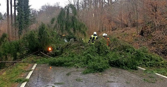 Das Sturmtief Burglind fegte Anfang Ja...agegen will sich die Wehr nun wappnen.  | Foto: Archivfoto: Feuerwehr Bad Sckingen