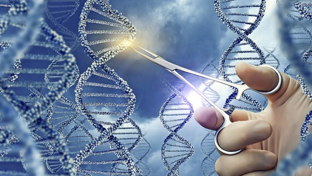 Przise Eingriffe ins Genom verspreche...Anwender der neuen Gentechnik-Methoden  | Foto: Adobe.com