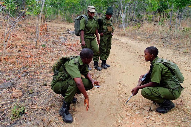 Rangerinnen suchen nach Spuren von Wilderern.  | Foto: dpa