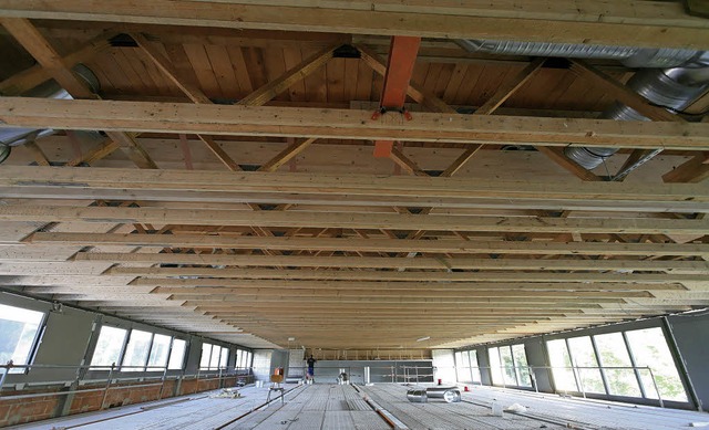 Die Dachkonstruktion der Limburghalle ...r Hallendecke derzeit ungewohnt nah.    | Foto: Wendel