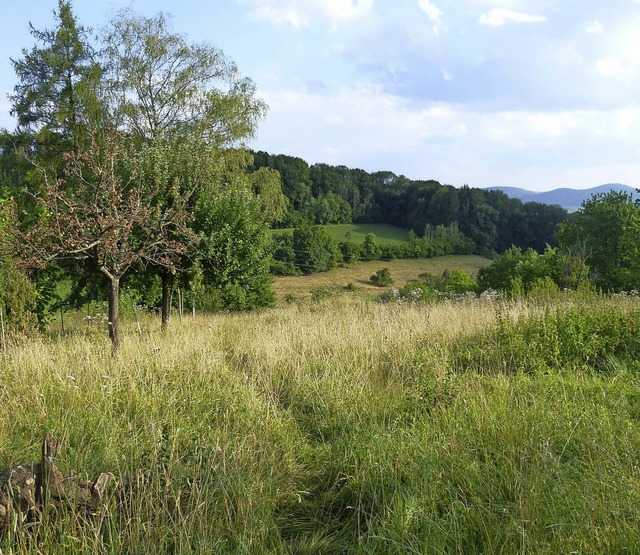   | Foto: BUND Hochrhein