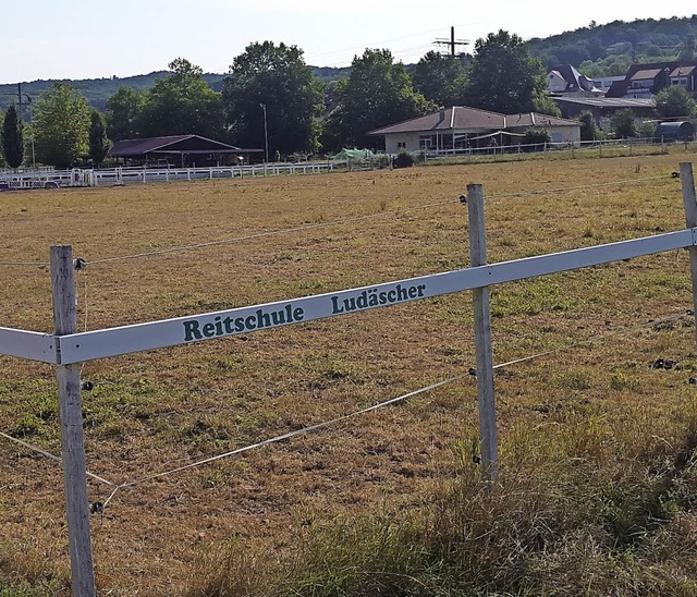 Wo heute Weiden sind, soll schon bald ...dessen mit vielen Auflagen verbunden.   | Foto: Senf