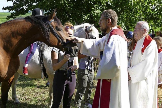 Festgottesdienst und Pferdesegnung vor der Pantaleonskapelle