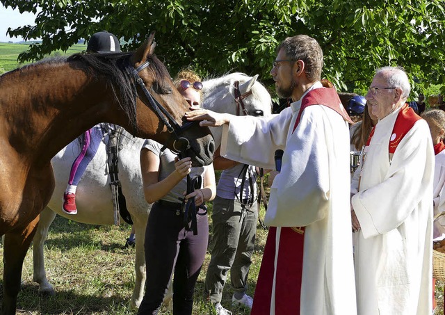 Pfarrer Claus Trost (links) und der Fe...h die traditionelle Pferdesegnung vor.  | Foto: Frank Kreutner