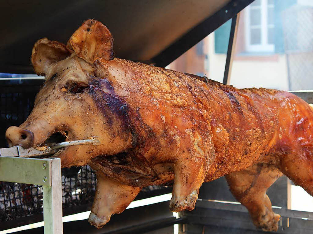 Das arme Schwein.......