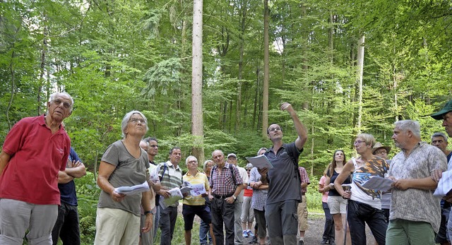 Mit Frster Gerhard Schwab  ging es au...rreiche Tour durch den Binzener Wald.   | Foto: Ounas-Krusel
