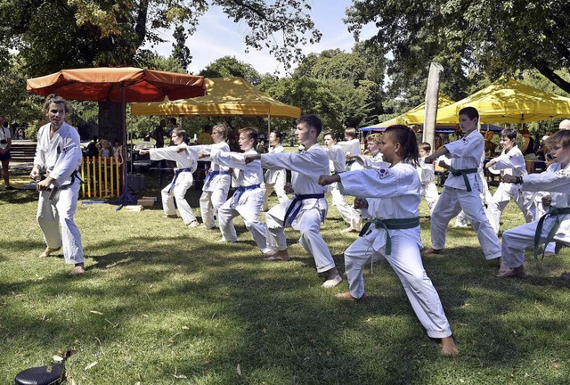 Vorgeschmack auf das Angebot: Taekwondo-Auffhrung im Stadtgarten  | Foto: Thomas Kunz