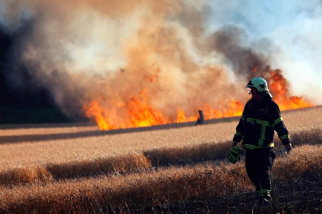 Feuerwehrleute lschen Anfang Juli nah...in Getreidefeld, das in Flammen steht.  | Foto: dpa