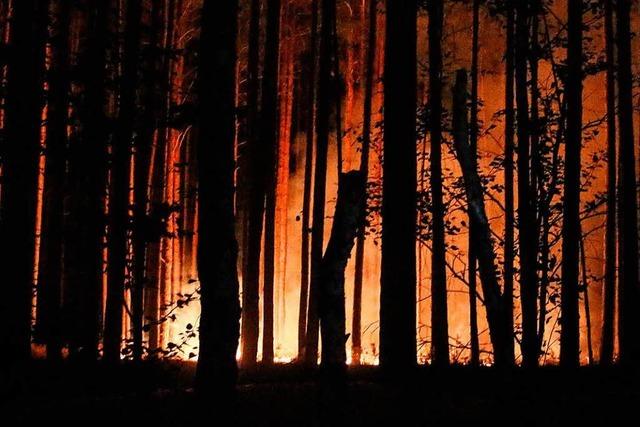 Waldbrandgefahr im Sdwesten steht auf hchster Stufe