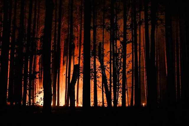 Rauchen im Wald kann zur Katastrophe fhren.  | Foto: dpa