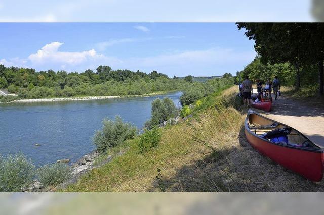 Kanutour des TRUZ auf dem Rhein bei Weil am Rhein