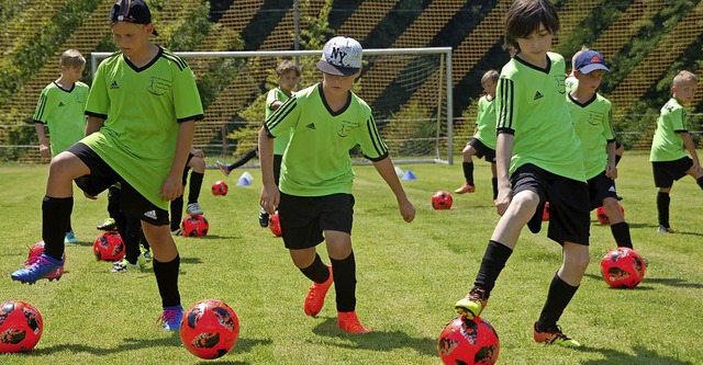 Viel Spa hatten 60 Mdchen und Jungen...sionellen Fuballtraining in Eichsel.   | Foto: Petra Wunderle