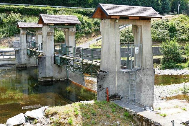 Den Flssen im Landkreis Lrrach geht das Wasser aus