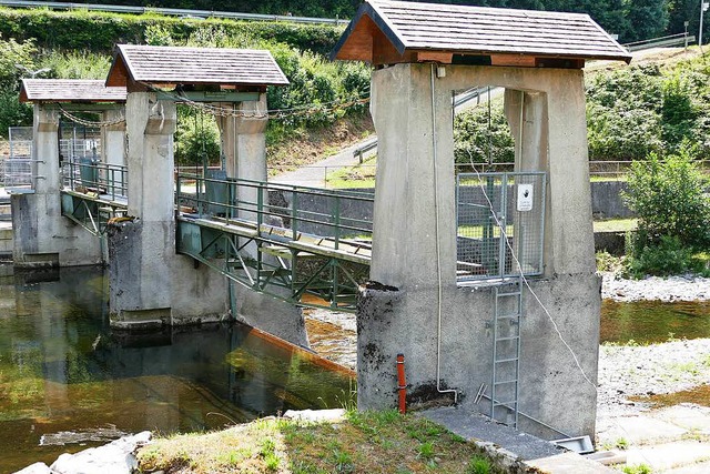 Die Wasserkraftwerke entlang der Wiese...t so niedrig wie zuletzt im Jahr 2003.  | Foto: Sattelberger