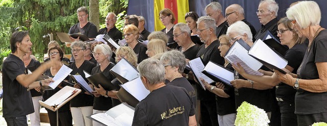 Der Gemischte Chor des Gesangvereins A...ommerfest natrlich auch zum Einsatz.   | Foto: Beatrice Ehrlich