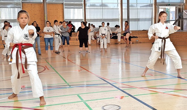 Hchste Konzentration: Die Karatekas a...n bei Horb am Neckar sehr erfolgreich.  | Foto: Privat