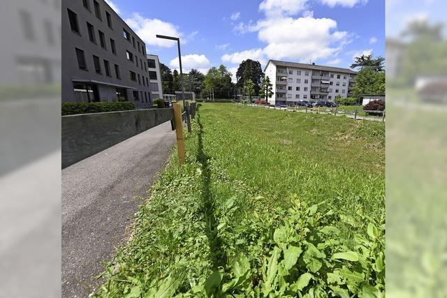 Nchstes Jahr soll es im Lerchenhof losgehen