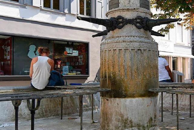 Brger in Lrrach sollen die stdtischen Bume gieen