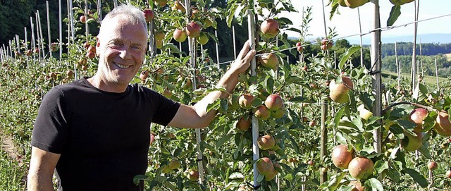 In seinen Apfelplantagen gibt Karlfrie...auch vielen alten Sorten eine Chance.   | Foto: herbert Frey