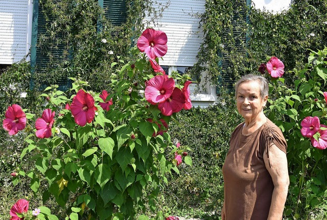 Eine echte Augenweide sind die Hibisku...ten im Garten von Christel Marchetti.   | Foto: Heinz Vollmar