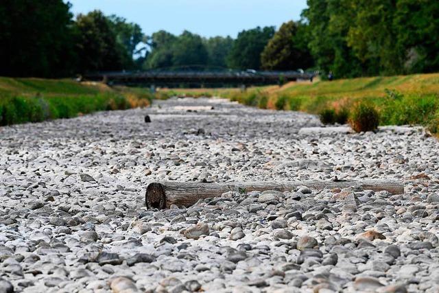 Was der heie Sommer fr Landwirte, Winzer, die Flsse und den Wald bedeutet